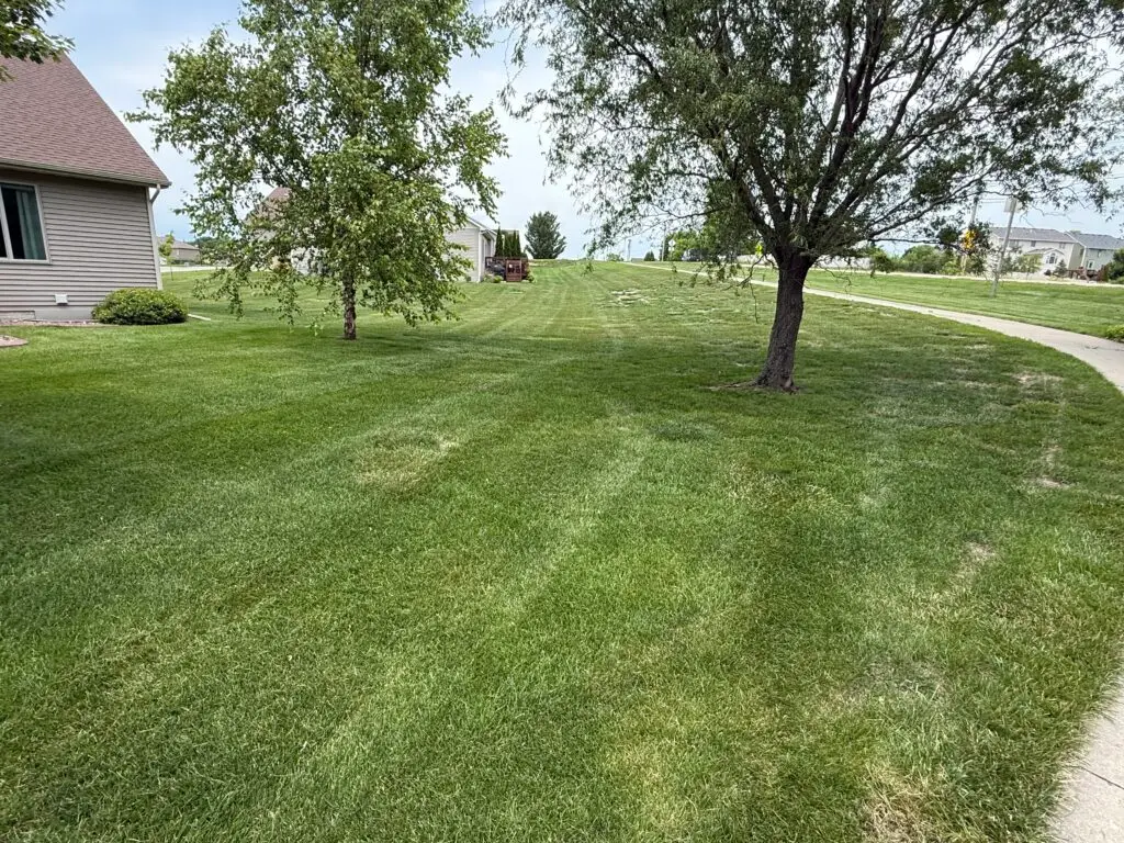 Thick, green striped lawn in a residential neighborhood, maintained by Stretch Property Maintenance